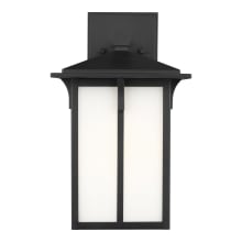 Tomek 14" Tall Outdoor Wall Sconce