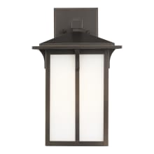 Tomek 14" Tall Outdoor Wall Sconce