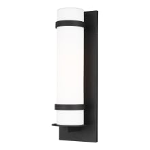 Alban 25" Tall Outdoor Wall Sconce - Cylindrical