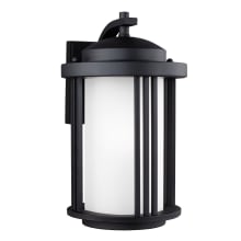 Crowell 15" Tall LED Outdoor Wall Sconce - Dark Sky Compliant