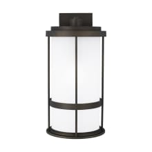 Wilburn 20" Tall Outdoor Wall Sconce