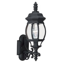 Wynfield 20" Tall Outdoor Wall Sconce with Clear Glass