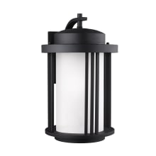Crowell 20" Tall LED Outdoor Wall Sconce - Dark Sky Compliant