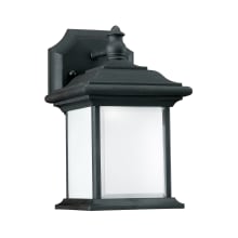 Wynfield 10" Tall Outdoor Wall Sconce with Frosted Glass