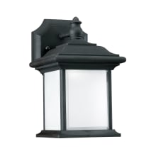 Wynfield 10" Tall LED Outdoor Wall Sconce