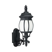 Wynfield 20" Tall Outdoor Wall Sconce with Frosted Glass