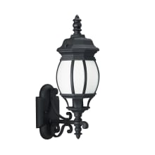 Wynfield 20" Tall LED Outdoor Wall Sconce