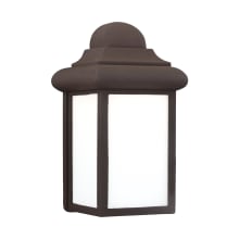 Mullberry Hill 9" Tall LED Outdoor Wall Sconce