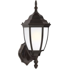 Bakersville 16" Tall Outdoor Wall Sconce with Frosted Glass