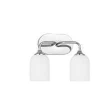 Emile 2 Light 14" Wide Vanity Light