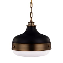 Cadence 2 Light 13" Wide Pendant