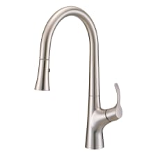 Antioch 1.75 GPM Single Hole Pull Down Kitchen Faucet