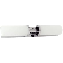2 Light 19.1" Wide Bathroom Fixture from the Surface Collection