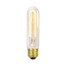 Single Vintage Edison 60W Soft White Dimmable T10 Medium (E26) Incandescent Bulb