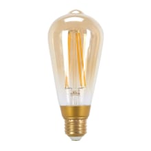Single 5 Watt Vintage Edison A19 Medium (E26) LED Bulb
