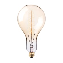 100 Watt 2200K Oversized Vintage Dimmable Incandescent Bulb with Medium (E26) Base