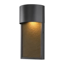 Sutherland 14" Tall Integrated 2700K LED Outdoor Wall Sconce