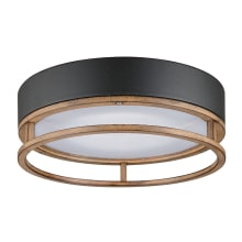Ray 12" Wide LED Outdoor Flush Mount Drum Ceiling Fixture