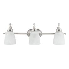 Diana 3 Light 24 Inch Wide Vanity Light with Adjustable Heads