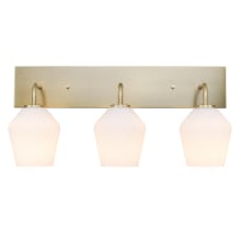 Raja 3 Light 24" Wide Bathroom Vanity Light