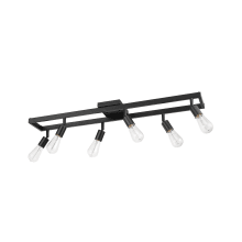 Weston 6 Light 36" Wide Fixed Rail Ceiling Fixture
