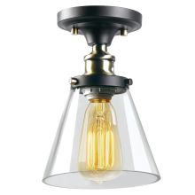 1 Light Flush Mount Ceiling Fixture with Clear Glass Shade