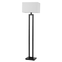 D'Alessio 58" Tall LED Accent Floor Lamp