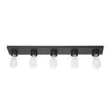 Alden 5 Light 28" Wide Vanity Light