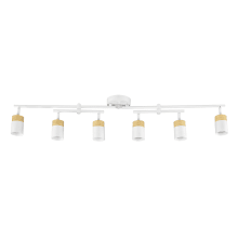 Hudson 6 Light 42" Wide Fixed Rail Linear Ceiling Fixture