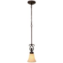 Single Light Down Lighting Mini Pendant from the Torbellino Collection