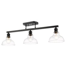 Carver 3 Light 36" Wide Fixed Rail Linear Ceiling Fixture