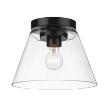 Penn 11" Wide Flush Mount Ceiling Fixture with a Clear Glass Shade
