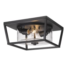 Mercer 2 Light 13" Wide Flush Mount Square Outdoor Ceiling Fixture with Seedy Glass Shade