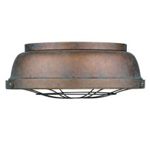 2 Light 14" Wide Flush Mount Ceiling Fixture From the Bartlett Collection