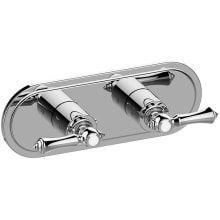 M-Series Transitional 2-Hole Trim Plate with Lever Handles (Horizontal Installation)