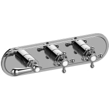 M-Series Transitional 3-Hole Trim Plate with Handles (Horizontal Installation)