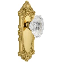 Grande Victorian Solid Brass Rose Dummy Door Knob Set with Biarritz Crystal Knob