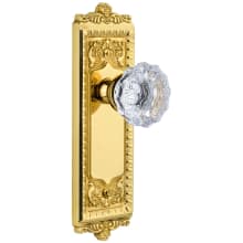 Windsor Solid Brass Rose Privacy Door Knob Set with Fontainebleau Crystal Knob and 2-3/8" Backset
