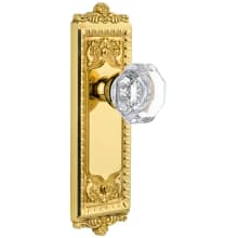 Windsor Solid Brass Rose Privacy Door Knob Set with Chambord Crystal Knob and 2-3/8" Backset