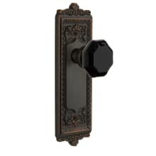 Windsor Solid Brass Rose Passage Door Knob Set with Lyon Black Crystal Knob and 2-3/8" Backset