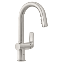 Defined 1.75 GPM Single Hole Pull Down Kitchen Faucet with SilkMove Technology