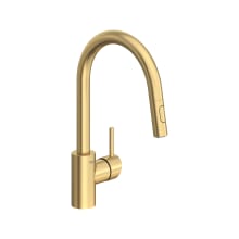 Concetto 1.75 GPM Single Hole Pull Down Kitchen Faucet