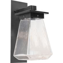 Beacon Single Light 14" Tall Outdoor Wall Sconce - Medium (E26) with Clear Glass Shade