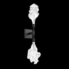 Blossom 2 Light 25" Tall LED Wall Sconce - 3000K