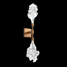 Blossom 2 Light 25" Tall LED Wall Sconce - 2700K