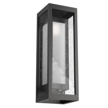 Double Box 18" Tall LED Outdoor Wall Sconce with Seedy and Frosted Glass Shades