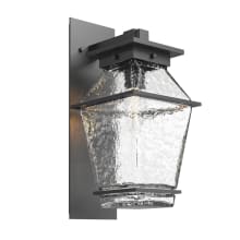 Landmark 17" Tall LED Outdoor Wall Sconce with Clear Blown Glass Shade