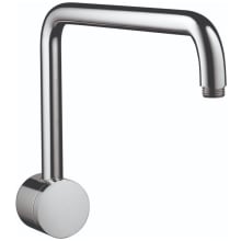 Raindance Shower Arm Swivel with Escutcheon Plate