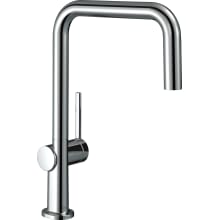 Talis N 1.75 GPM Single Hole Kitchen Faucet