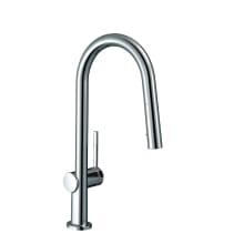 Talis N 1.75 GPM Single Hole Pull Down Kitchen Faucet